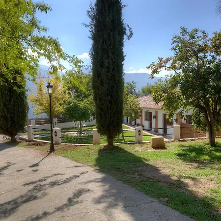 Apartment Alba Montis *