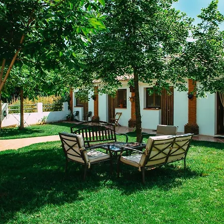 Apartment Alba Montis